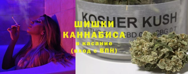 mdpv Инта