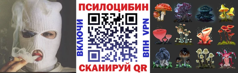 Галлюциногенные грибы GOLDEN TEACHER  hydra сайт  Каргополь 